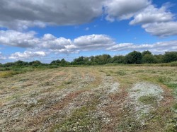 Images for Westhay Moor, Westhay, Somerset