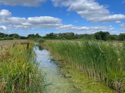 Images for Westhay Moor, Westhay, Somerset
