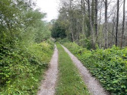 Images for Westhay Moor, Westhay, Somerset