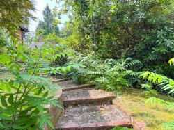 Images for Pikes Hill, Lyndhurst, SO43