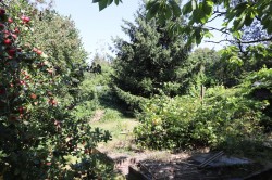 Images for Hastings Road, Battle, East Sussex