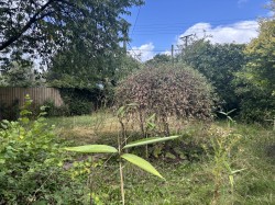 Images for Dinder, Wells, Somerset