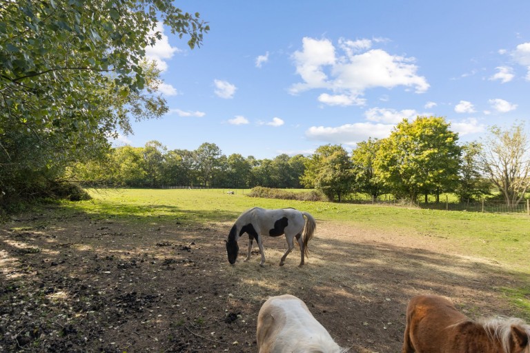 Images for Laughton, Lewes, East Sussex