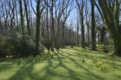 Images for Bucklers Hard, Beaulieu, Brockenhurst, SO42