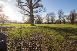 Images for Shortgrove, Newport, Saffron Walden