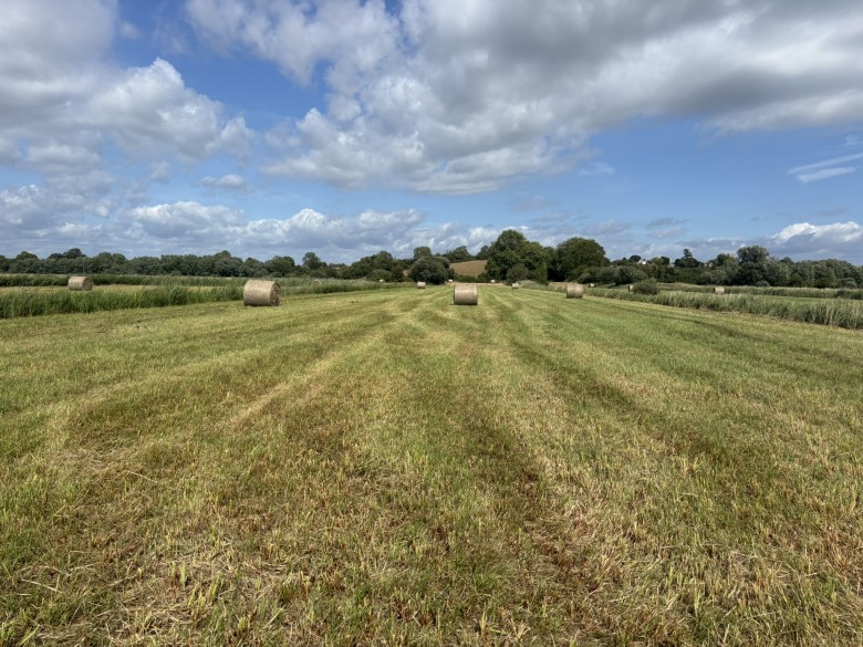 Click the photo for more details of Lot B - Langmead Drove, Middlezoy, Somerset