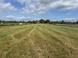 Images for Lot B - Langmead Drove, Middlezoy, Somerset