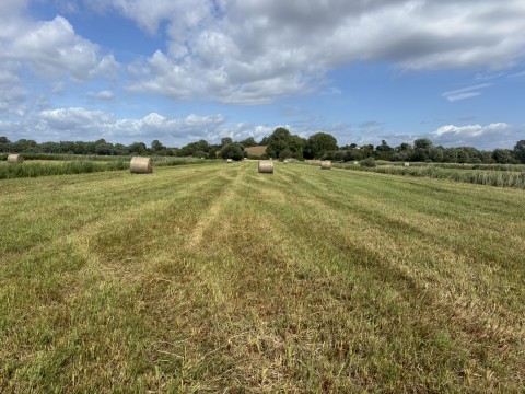 Click the photo for more details of Lot B - Langmead Drove, Middlezoy, Somerset