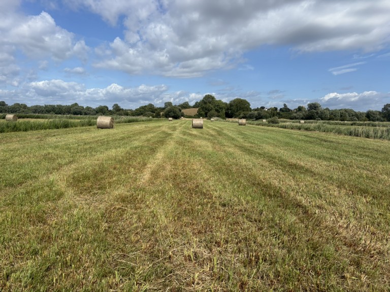 Images for Lot B - Langmead Drove, Middlezoy, Somerset