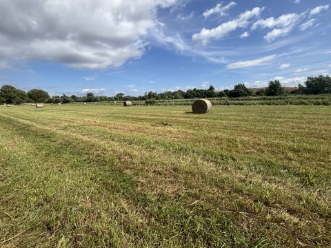 Click the photo for more details of Lot B - Langmead Drove, Middlezoy, Somerset