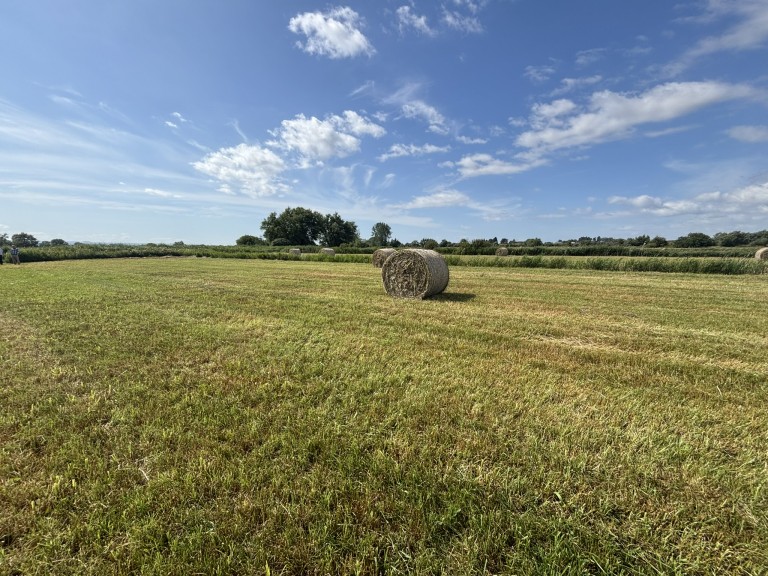 Images for Lot B - Langmead Drove, Middlezoy, Somerset