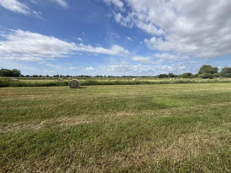 Click the photo for more details of Lot A - Langmead Drove, Middlezoy, Somerset