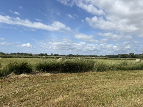 Click the photo for more details of Lot A - Langmead Drove, Middlezoy, Somerset