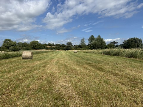 Click the photo for more details of Lot A - Langmead Drove, Middlezoy, Somerset