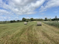 Images for Lot A - Langmead Drove, Middlezoy, Somerset