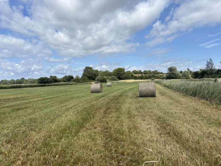 Images for Lot A - Langmead Drove, Middlezoy, Somerset