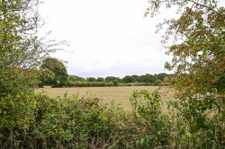 Images for Sandford, Ringwood, BH24