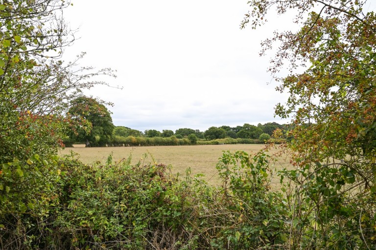 Images for Sandford, Ringwood, BH24