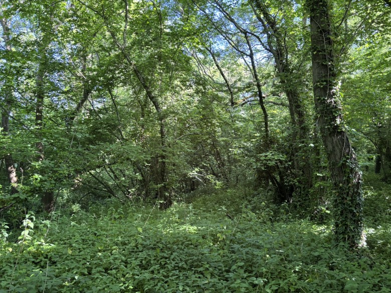 Click the photo for more details of Rimpton, Yeovil, Somerset