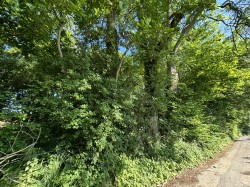 Images for Rimpton, Yeovil, Somerset