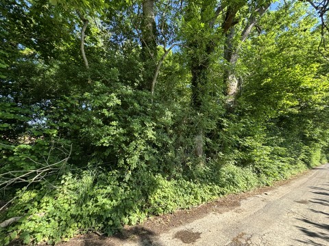 Click the photo for more details of Rimpton, Yeovil, Somerset
