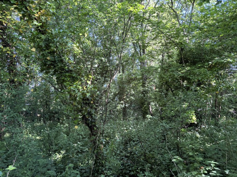 Images for Rimpton, Yeovil, Somerset
