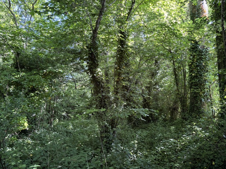 Images for Rimpton, Yeovil, Somerset