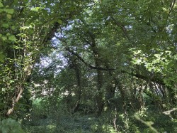 Images for Rimpton, Yeovil, Somerset