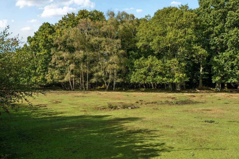 Images for London Minstead, Lyndhurst, SO43