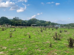 Images for Lot B - Park Farm Dairy, Pitney, Langport, Somerset