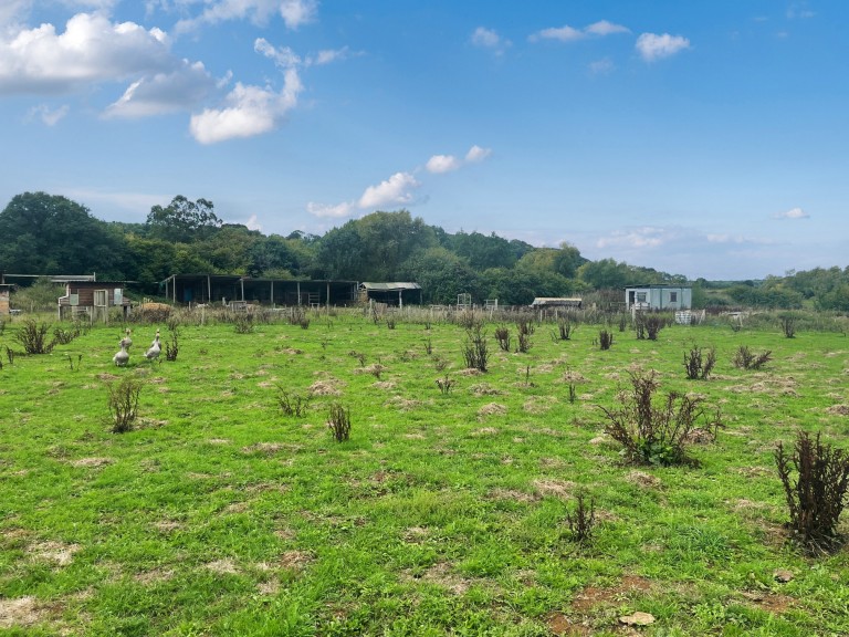Images for Lot B - Park Farm Dairy, Pitney, Langport, Somerset