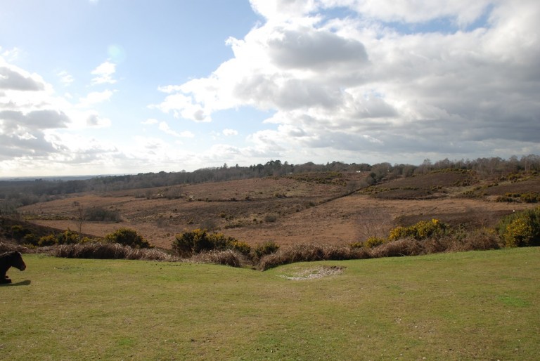 Images for Burley Street, Burley, Ringwood, BH24