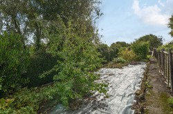 Images for Farmborough, Farmborough, Bath, Somerset