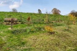 Images for Shepton Montague, Wincanton, Somerset