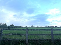 Images for Hornblotton, Somerset