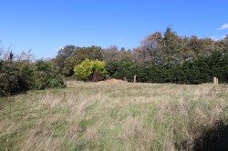 Images for Windmill Hill, Hailsham, East Sussex