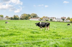 Images for Rock Road, Chilcompton, Radstock, Somerset