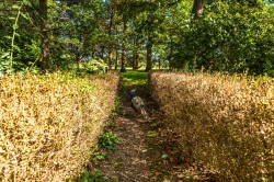 Images for Tellisford, Bath, Somerset