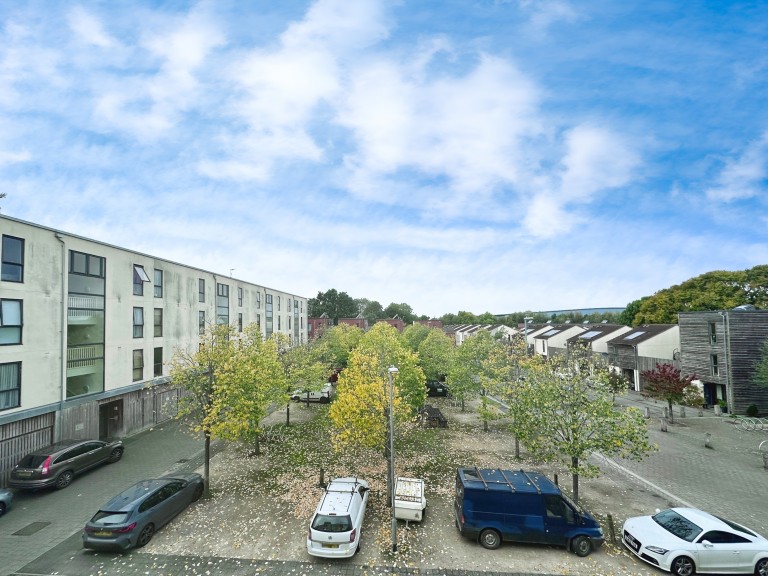 Images for Lime Tree Square, Street