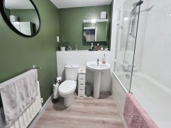 Images for Lime Tree Square, Street