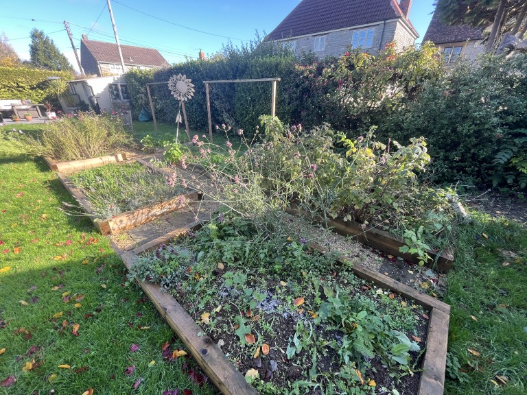 Images for Somerton, Somerset