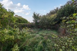 Images for Greinton, Bridgwater, Somerset