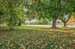 Images for Codford, Wiltshire