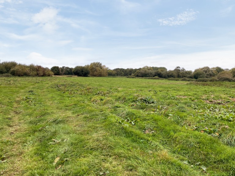 Images for Meare Road, Glastonbury, Somerset