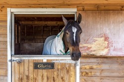 Images for Culmstock, Cullompton