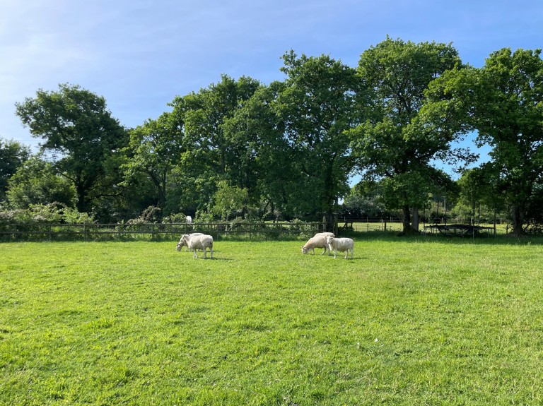 Images for Bashley Common Road, New Milton, BH25