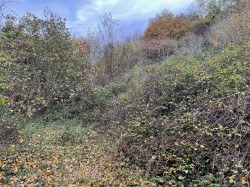 Images for Cheddar Road, Axbridge, Somerset