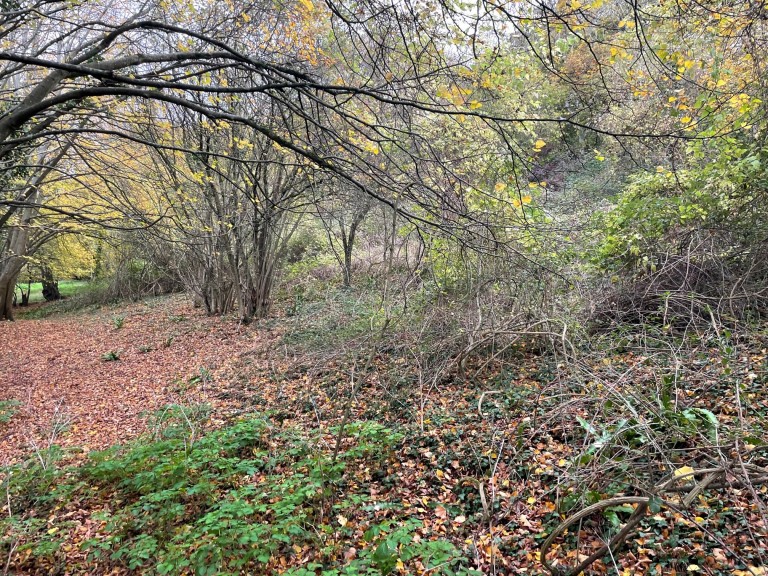 Images for Cheddar Road, Axbridge, Somerset