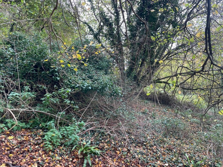 Images for Cheddar Road, Axbridge, Somerset