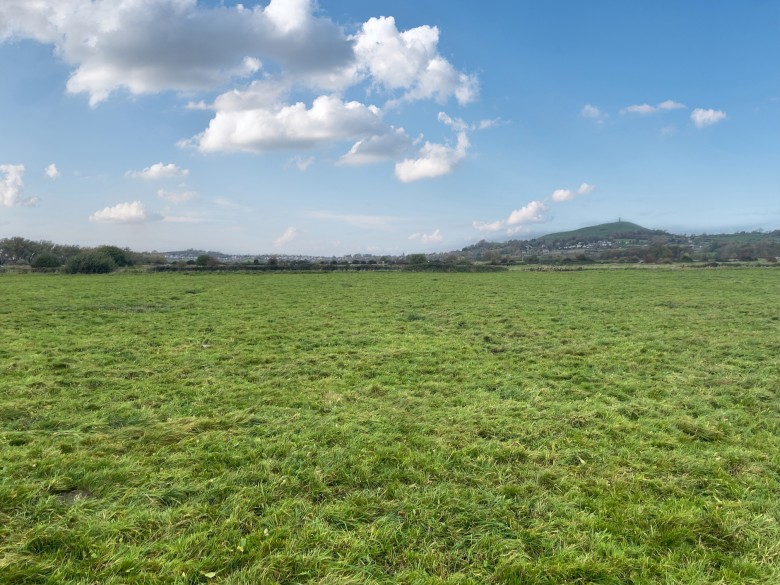 Click the photo for more details of Watchwell Drove, Glastonbury, Somerset